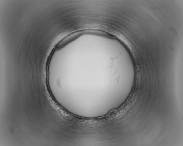 X0000110981088200907101405