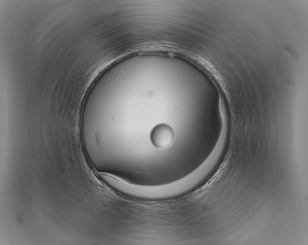 X0000110981089200907101405