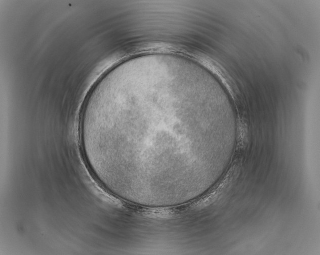 X0000110981090200907101405