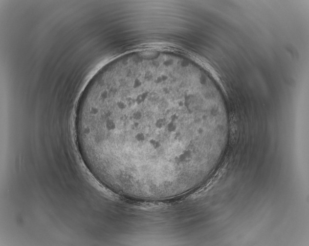 X0000110981091200907101405