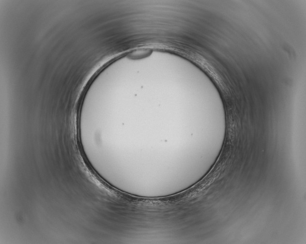 X0000110981092200907101405