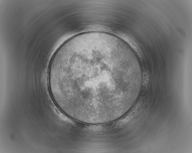 X0000110981094200907101404