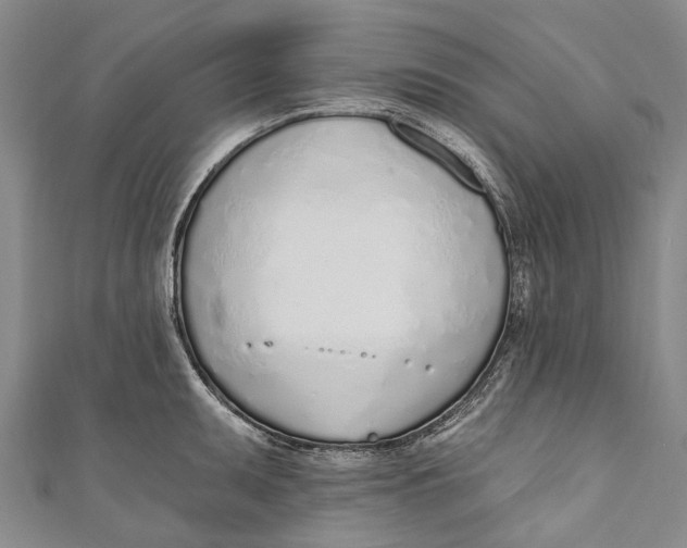 X0000110981095200907101404