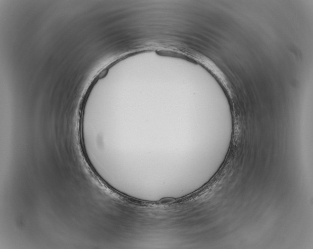 X0000110981096200907101404