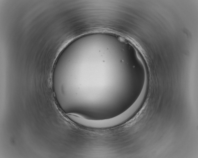 X0000110981097200907101404