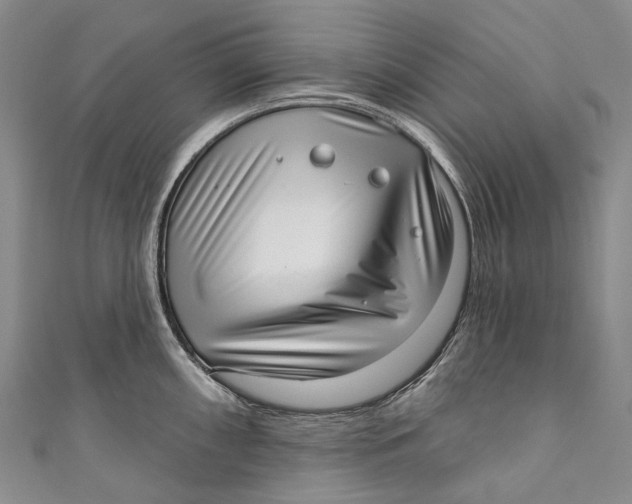 X0000110981098200907101404