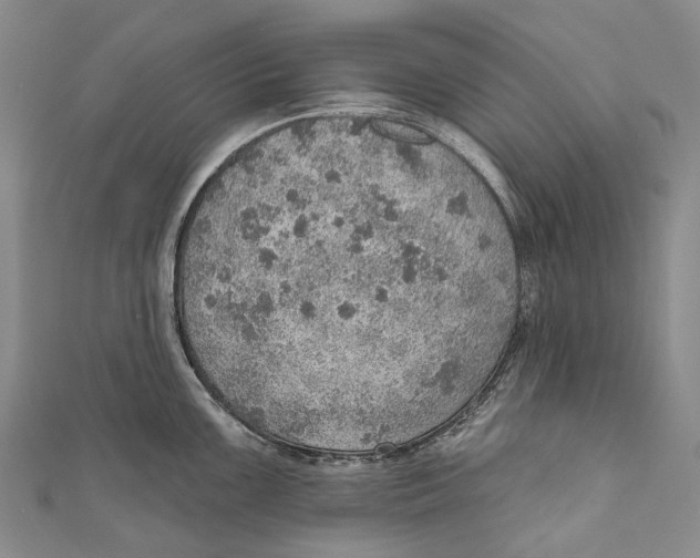 X0000110981099200907101404