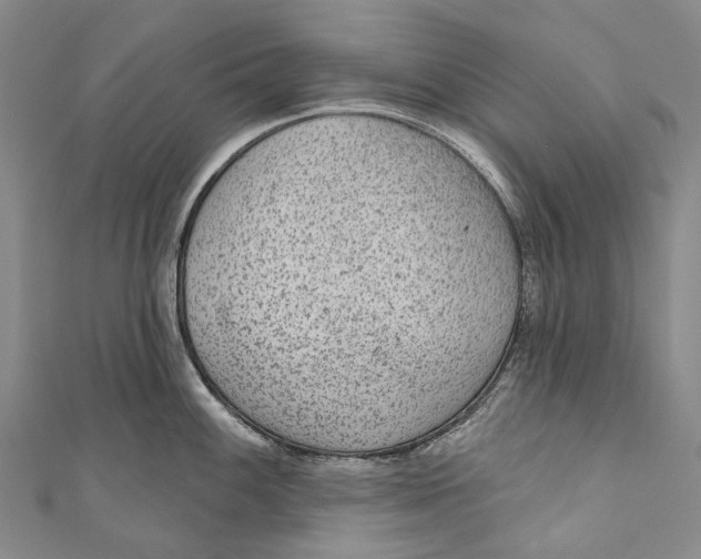 X0000110981100200907101404