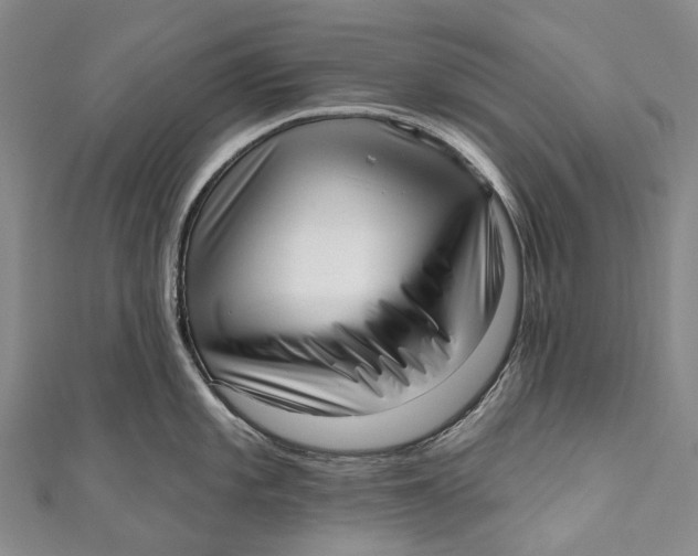 X0000110981101200907101404