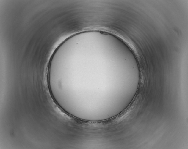 X0000110981102200907101404