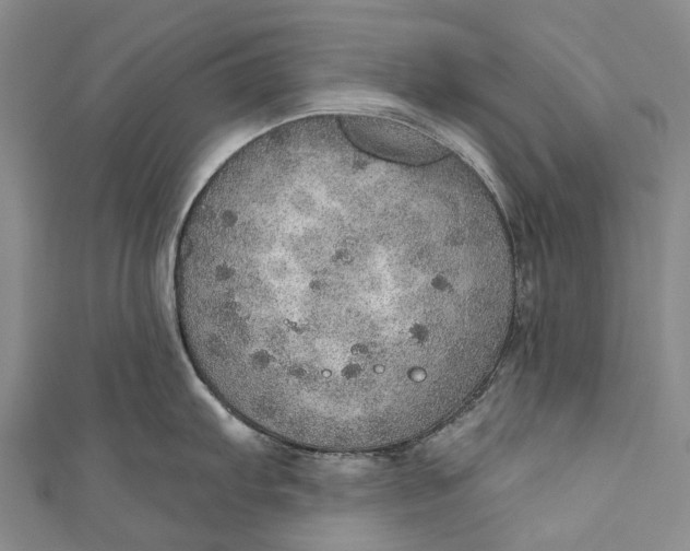 X0000110981103200907101404