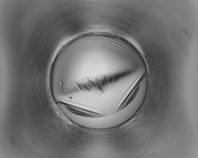 X0000110981104200907101404