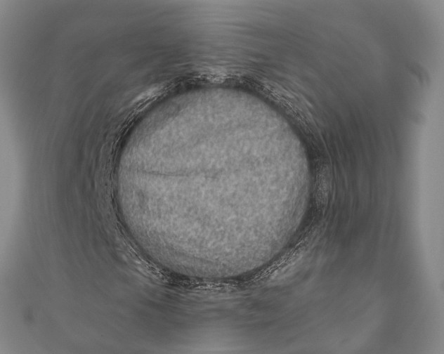 X0000110981105200907101404