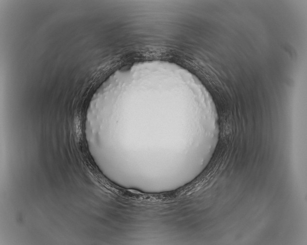 X0000110981106200907101404