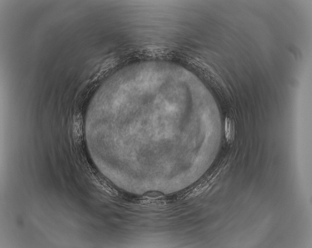 X0000110981107200907101404