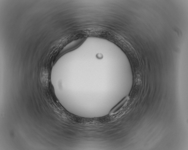 X0000110981108200907101404