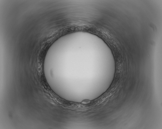 X0000110981109200907101404