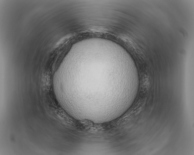 X0000110981110200907101404