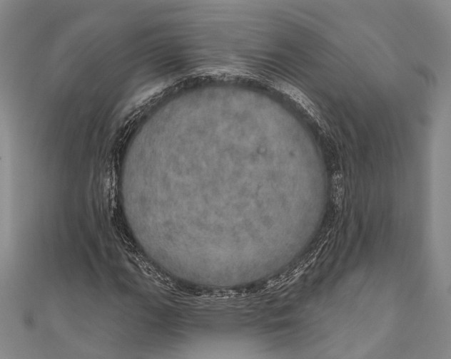 X0000110981111200907101404