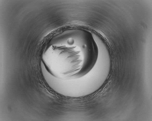 X0000110981112200907101404