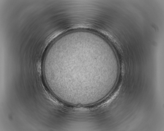 X0000110981113200907101404