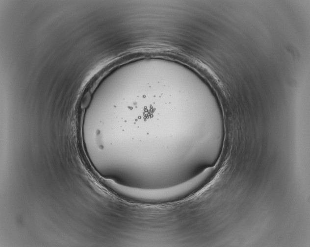 X0000110981114200907101404