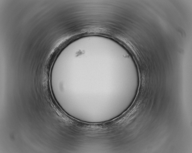 X0000110981115200907101404