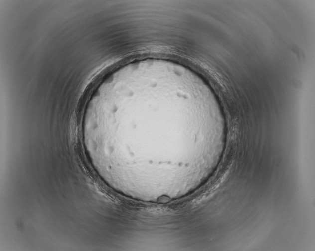 X0000110981117200907101404