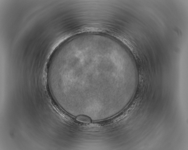 X0000110981119200907101404