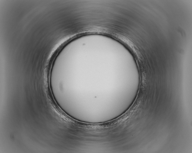 X0000110981120200907101404