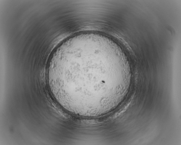 X0000110981121200907101404