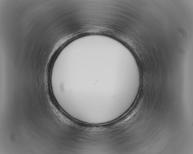 X0000110981122200907101404