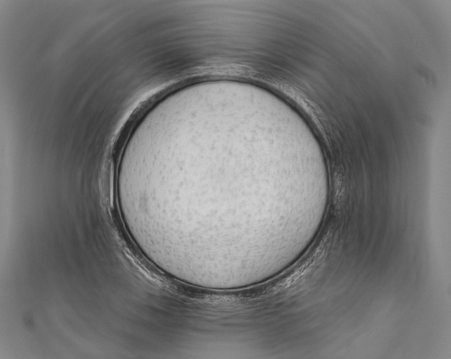 X0000110981123200907101404