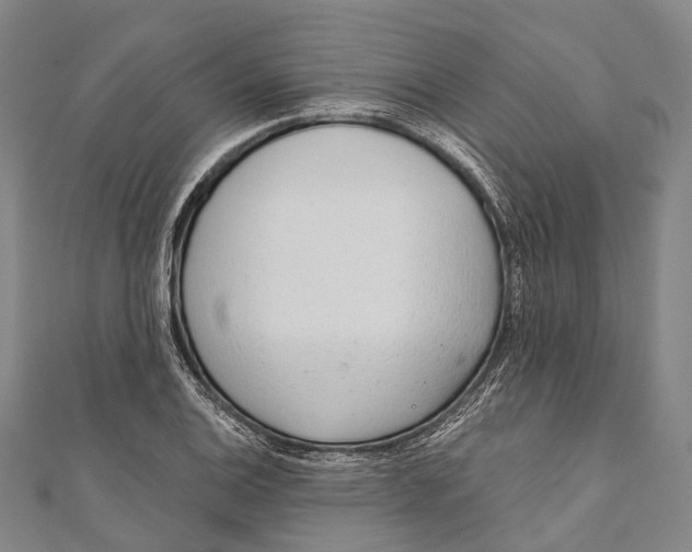 X0000110981124200907101404