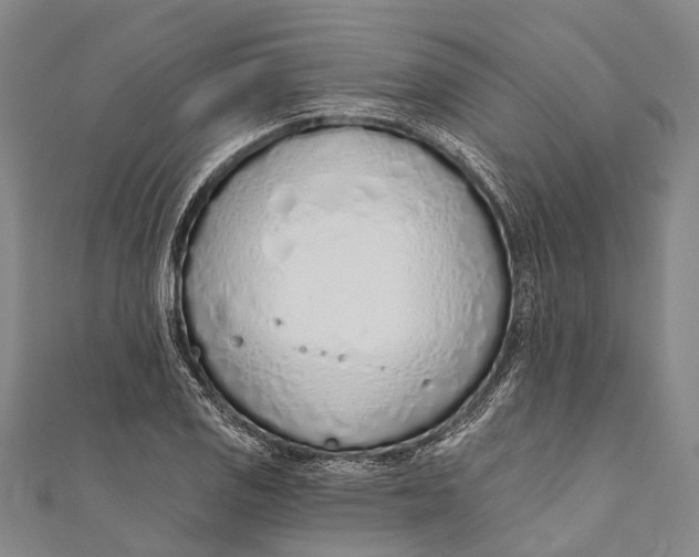 X0000110981125200907101404