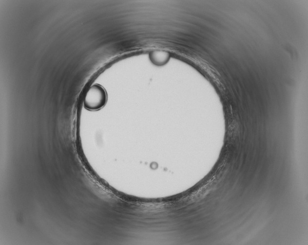 X0000110981126200907101404