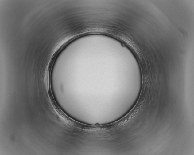 X0000110981127200907101404