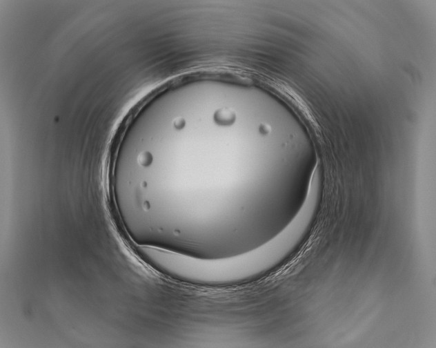 X0000110981128200907101404