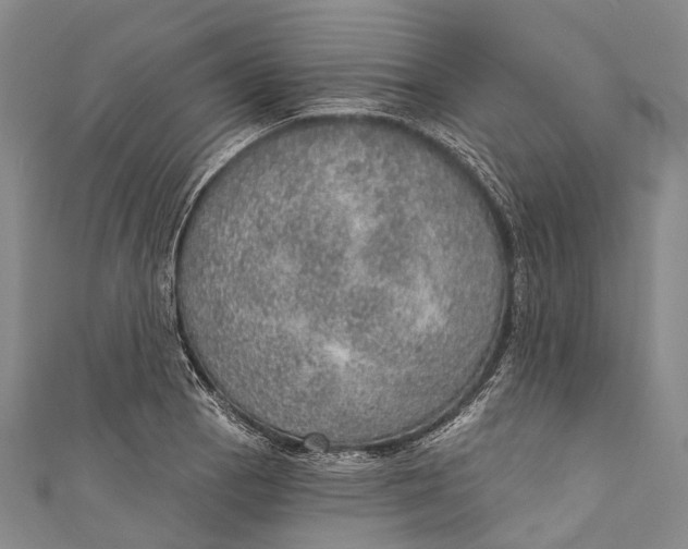 X0000110981129200907101404