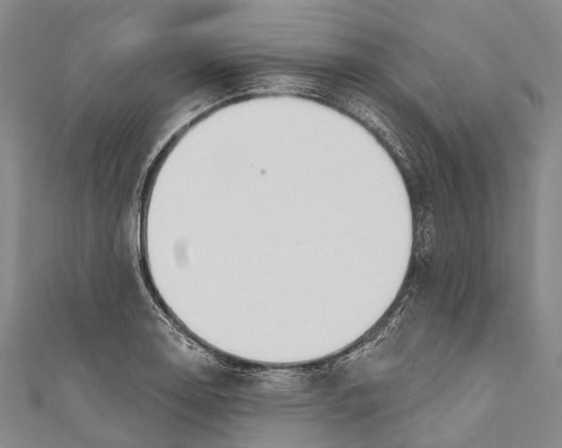 X0000110981130200907101404