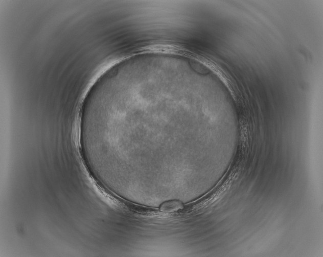 X0000110981131200907101404