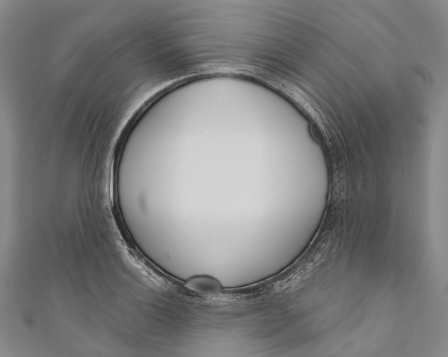 X0000110981132200907101404