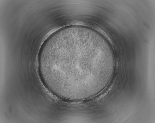 X0000110981133200907101404