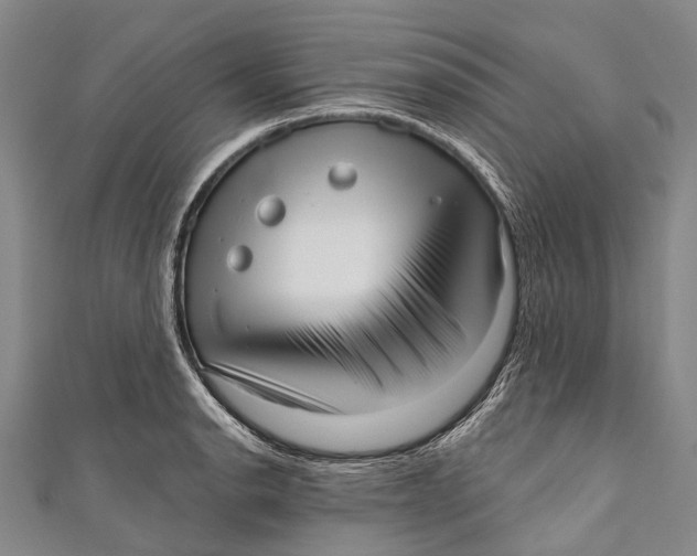 X0000110981134200907101404