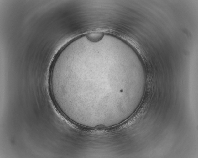 X0000110981135200907101404