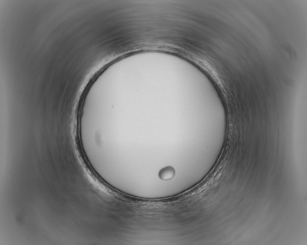 X0000110981136200907101404