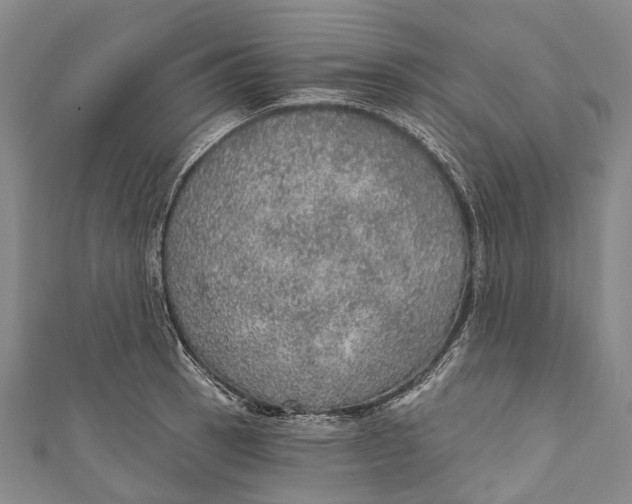 X0000110981137200907101404