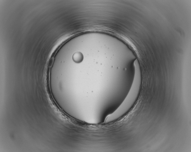 X0000110981138200907101404