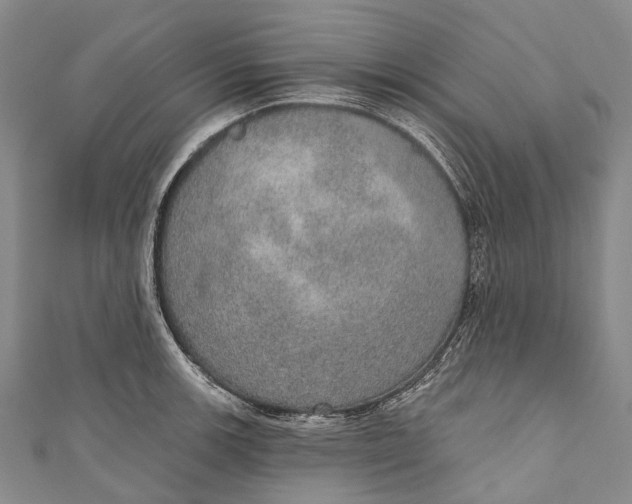 X0000110981139200907101404