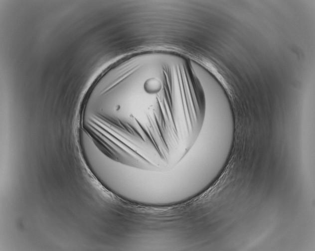 X0000110981140200907101404